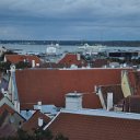 DSC_1001 (14)